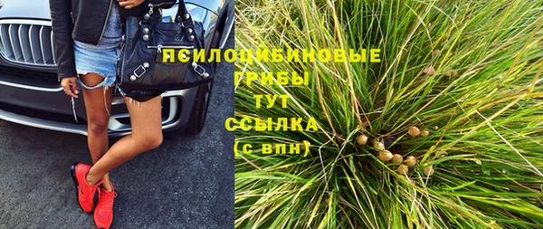марки lsd Белокуриха