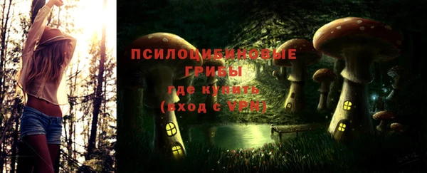 марки lsd Белокуриха