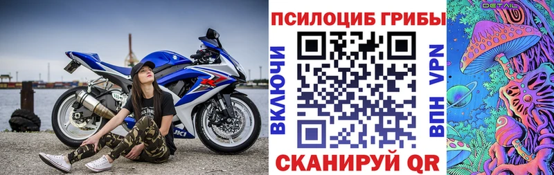 купить  сайты  гидра как зайти  Галлюциногенные грибы прущие грибы  Жирновск 
